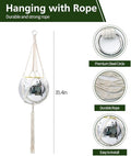 Disco Ball Planter – 8" Silver, Hanging Rope, Chain &amp; Hook Included