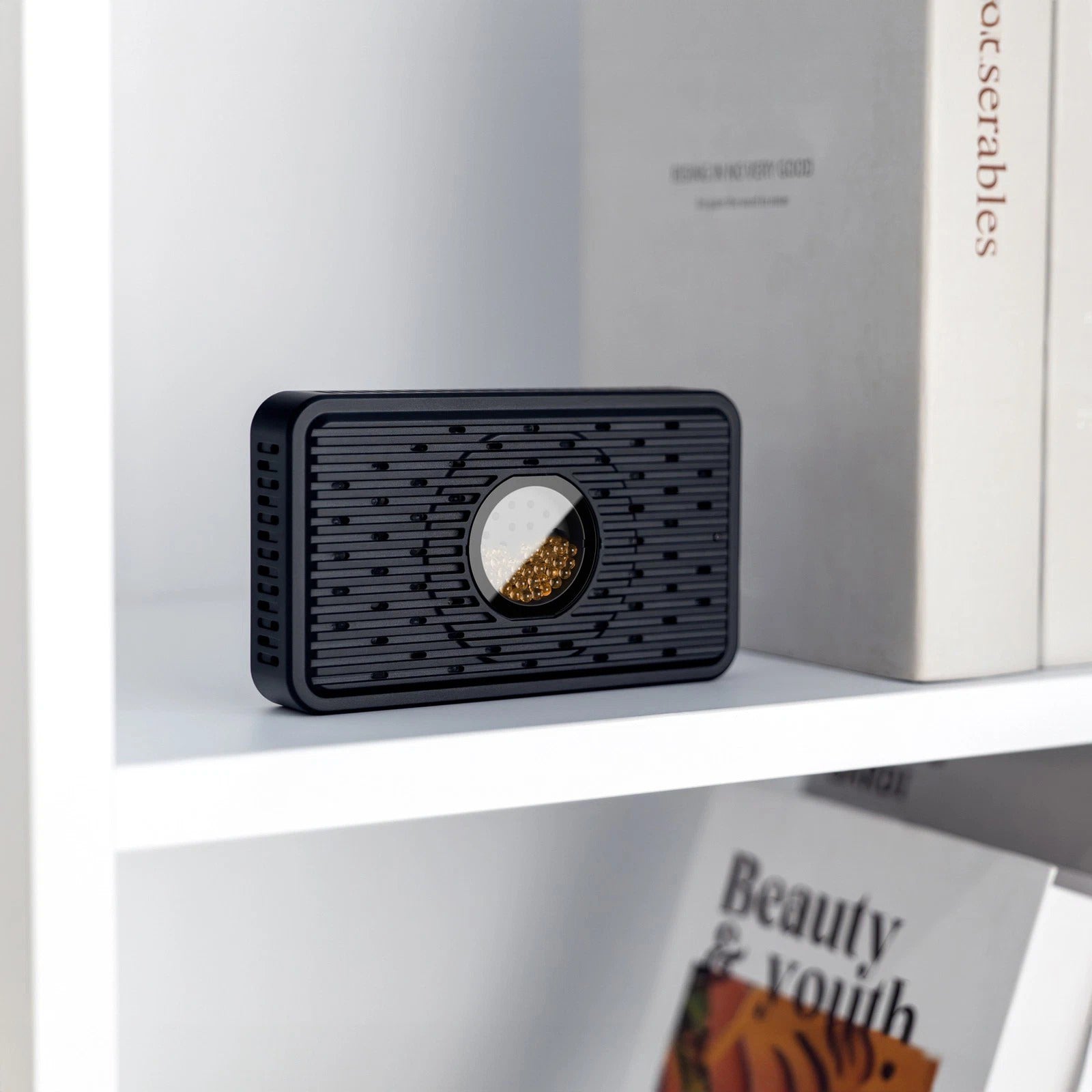 Aesthetically pleasing reusable camera dehumidifier
