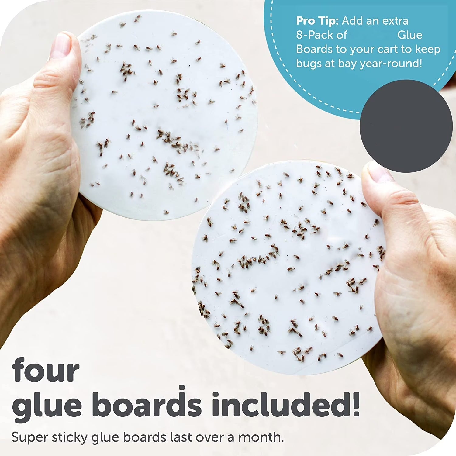 Electronic indoor insect trap