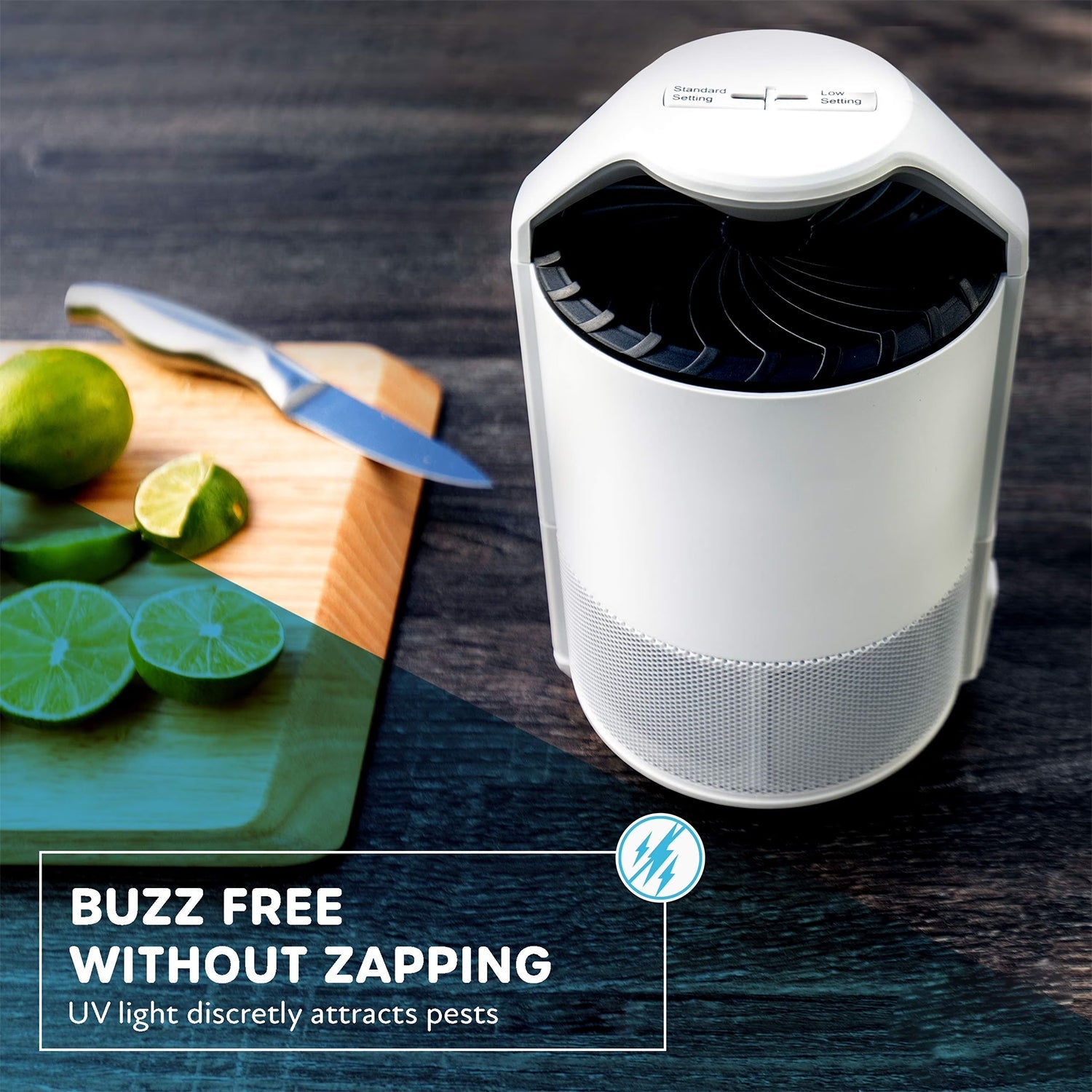 Electronic indoor insect trap