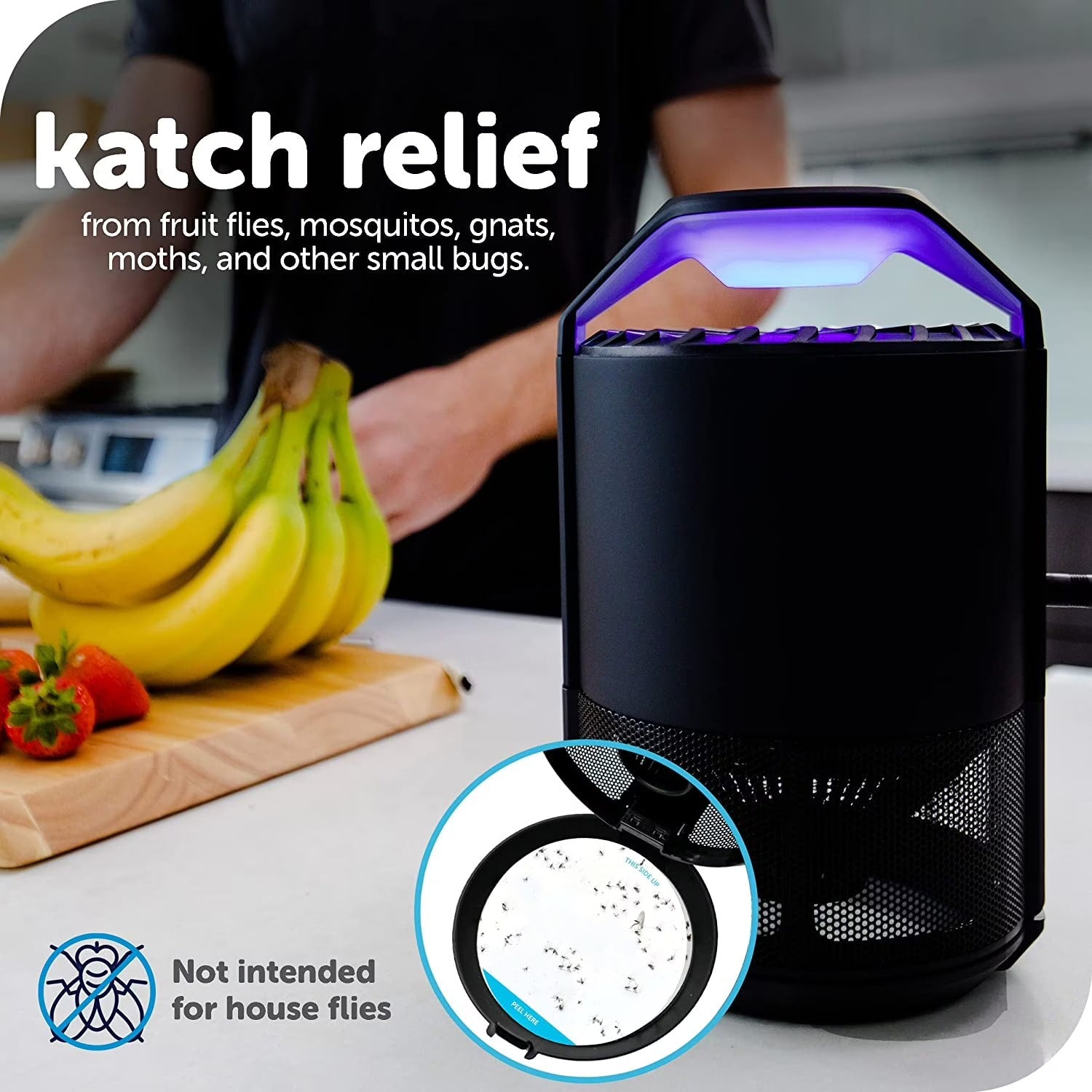 Electronic indoor insect trap