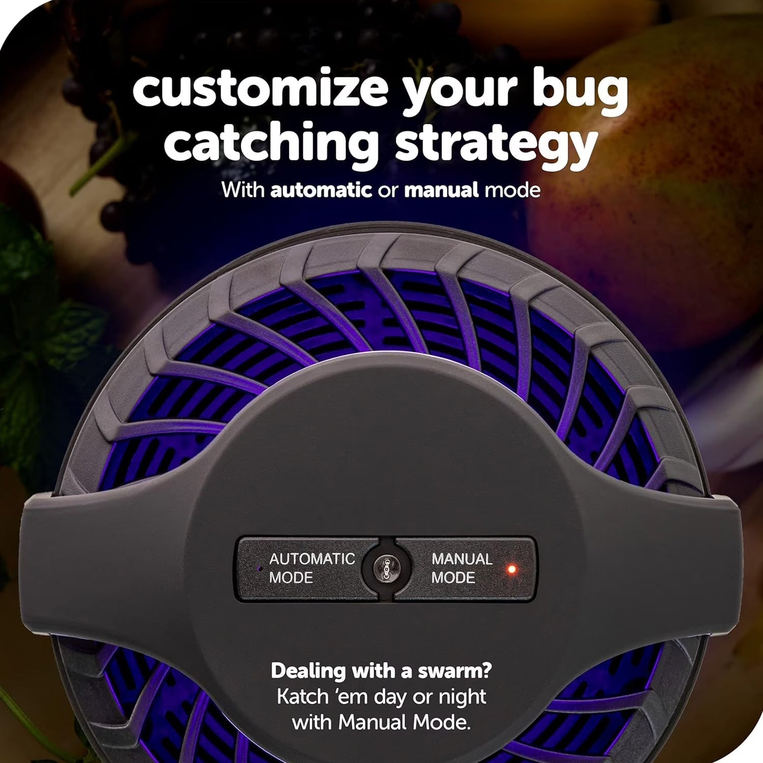 Electronic indoor insect trap