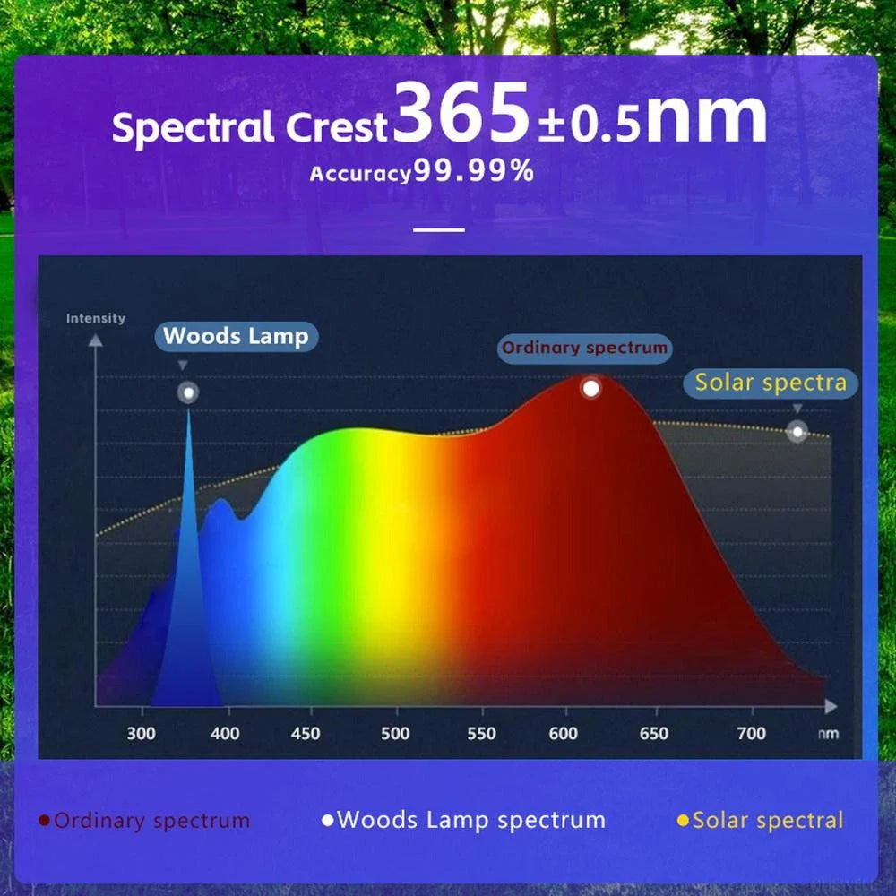 UV Magnifying Skin Analyzer – Portable Wood's Lamp